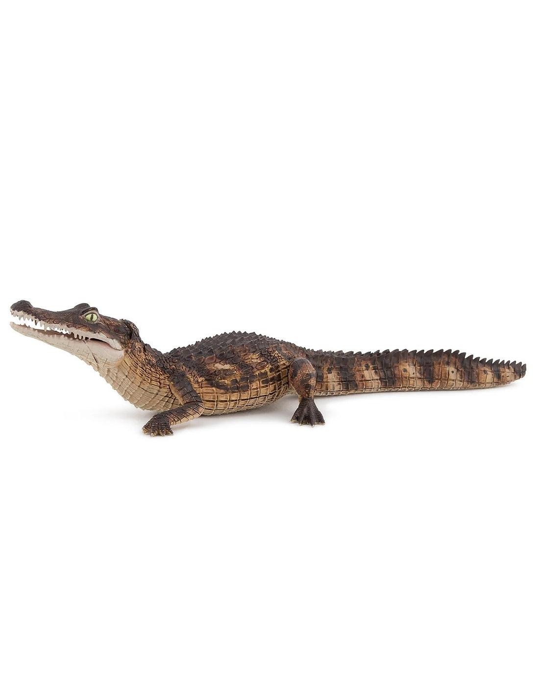 Cayman