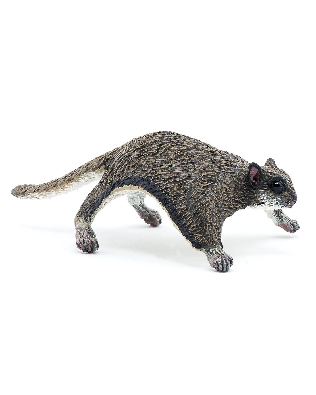 Flying Squirrel