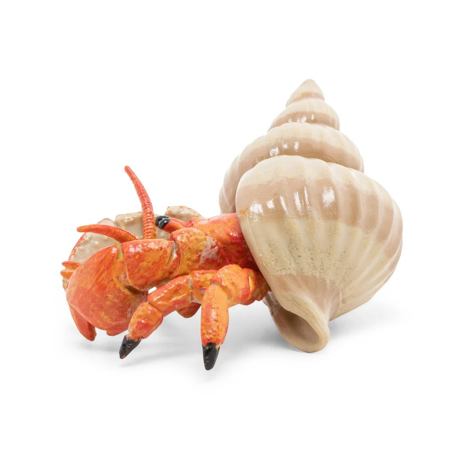 Hermit Crab