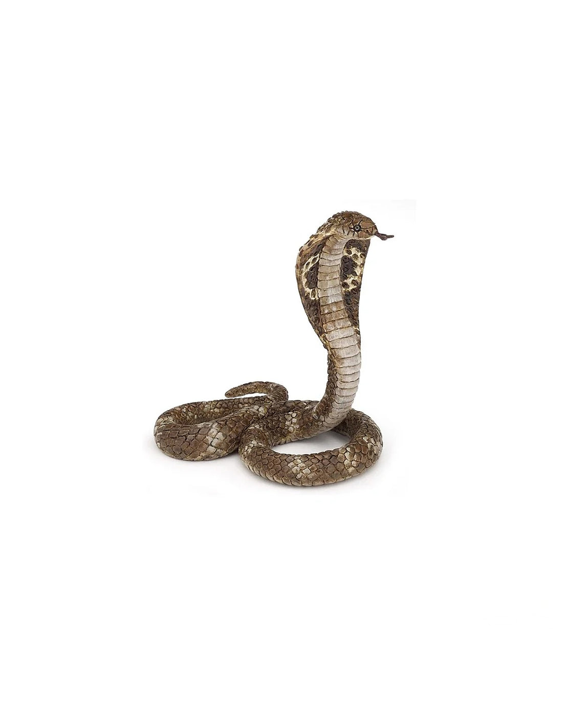 King Cobra