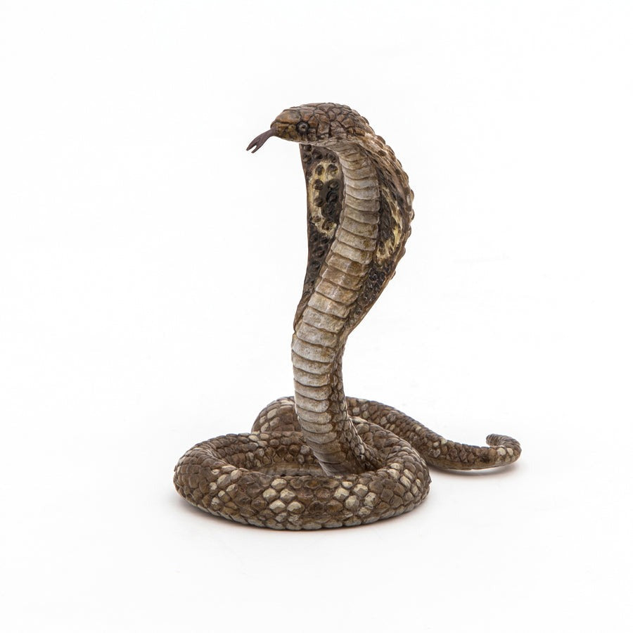 King Cobra