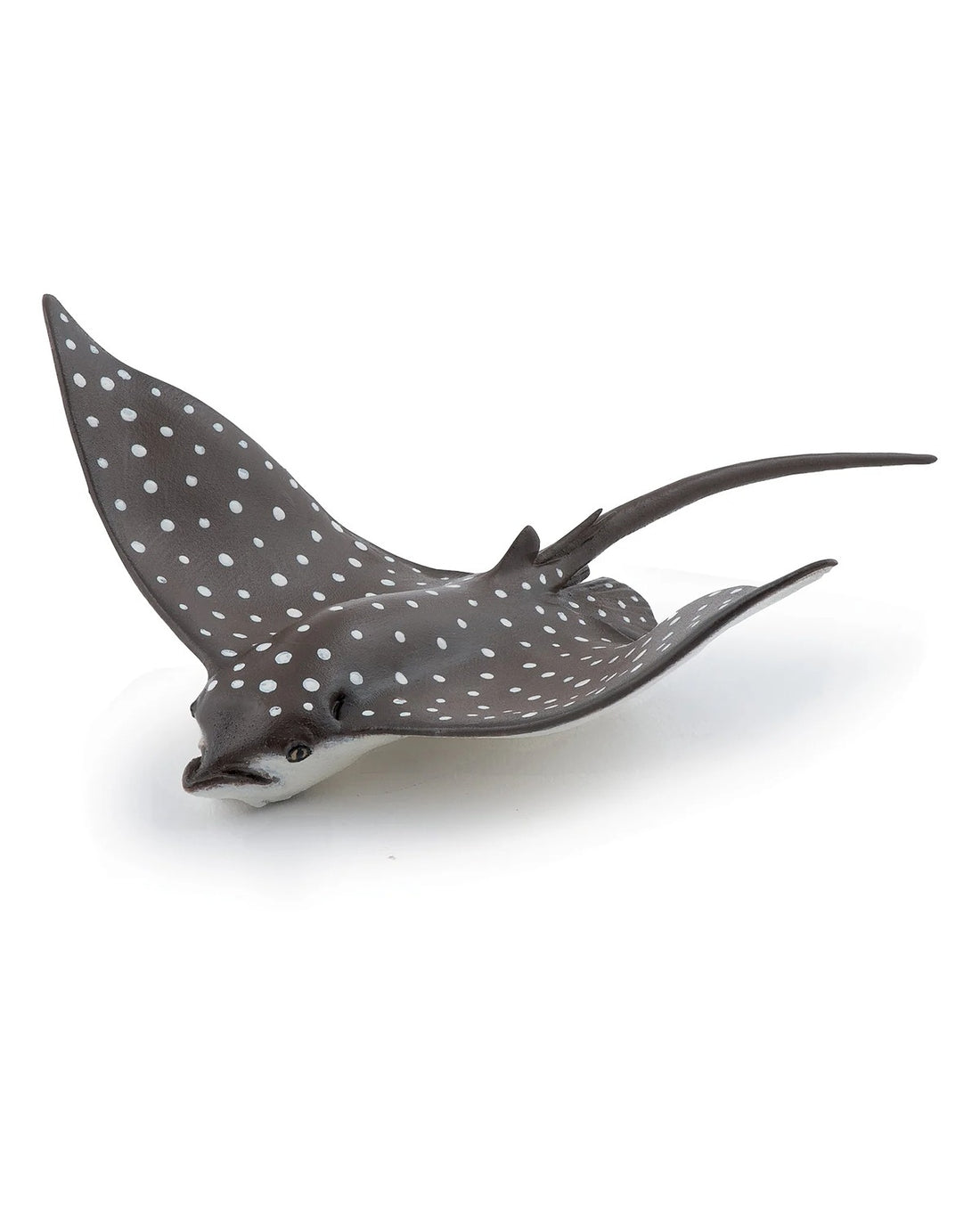 Leopard Ray
