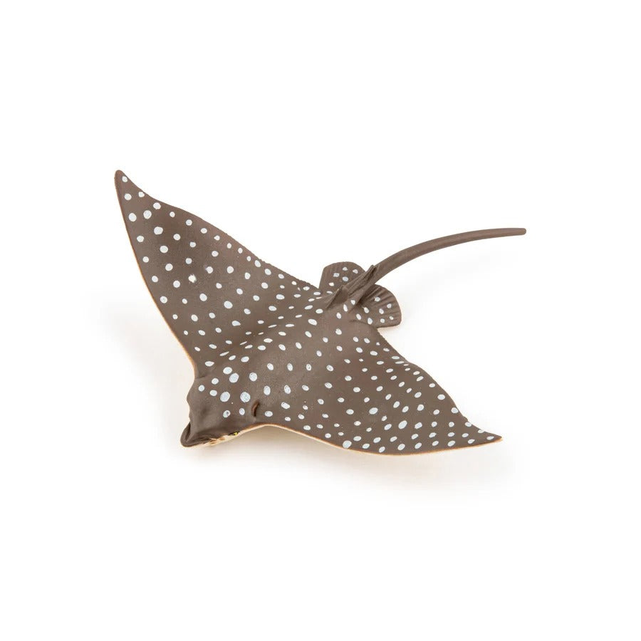 Leopard Ray