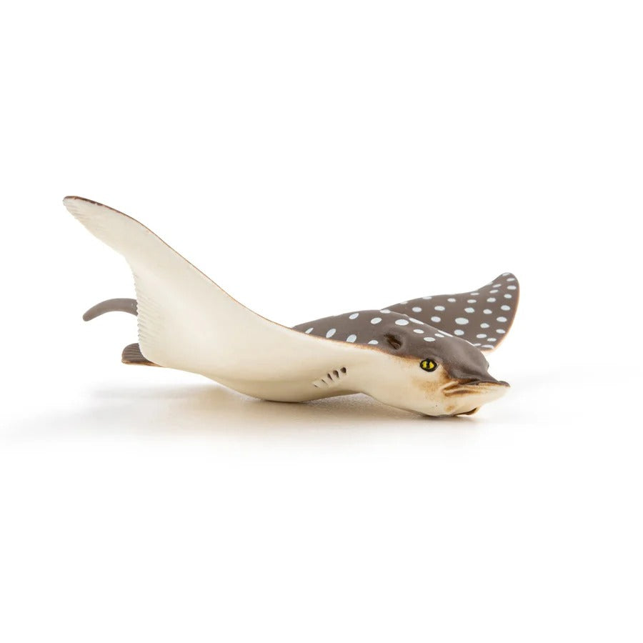 Leopard Ray