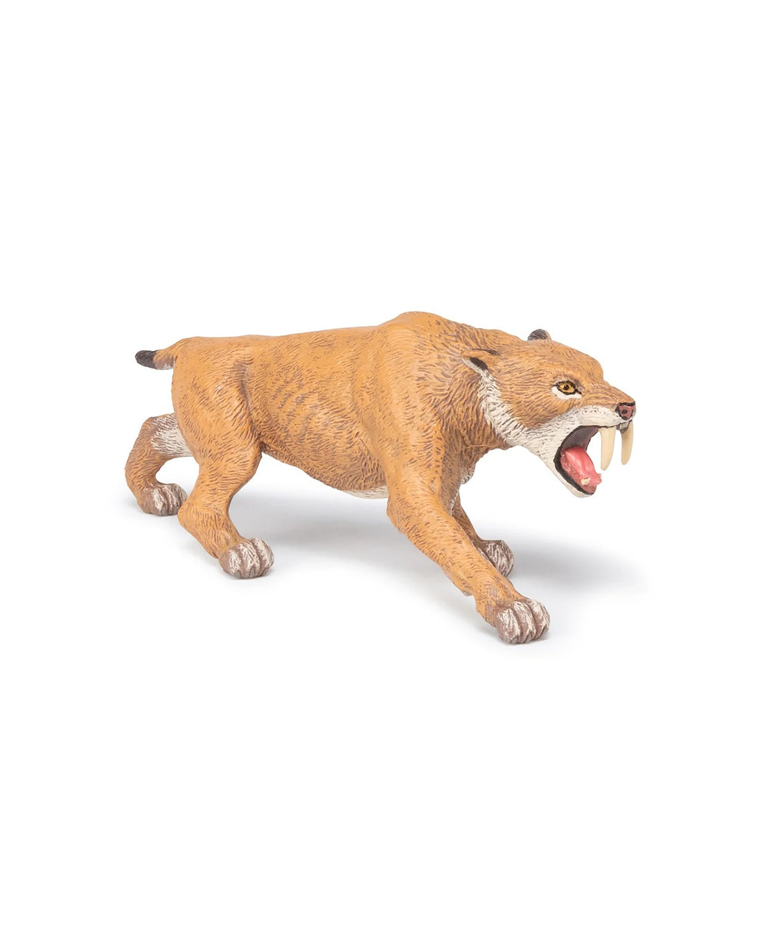 Smilodon