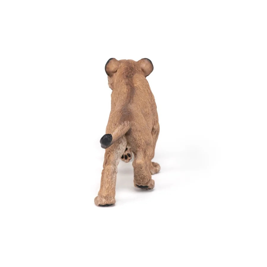 Young Smilodon