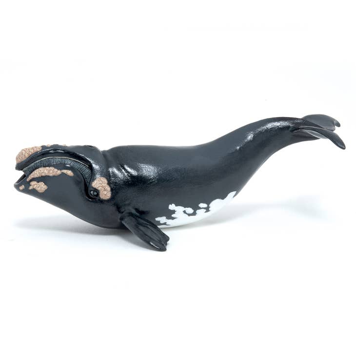 Right Whale Figurine - Parkette.