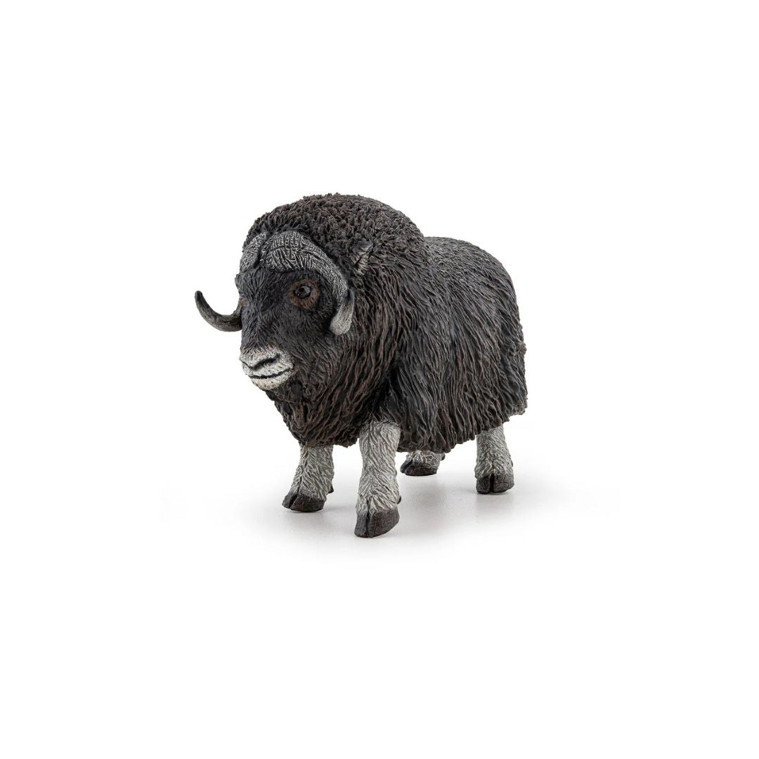 Musk Ox Figurine - Parkette.