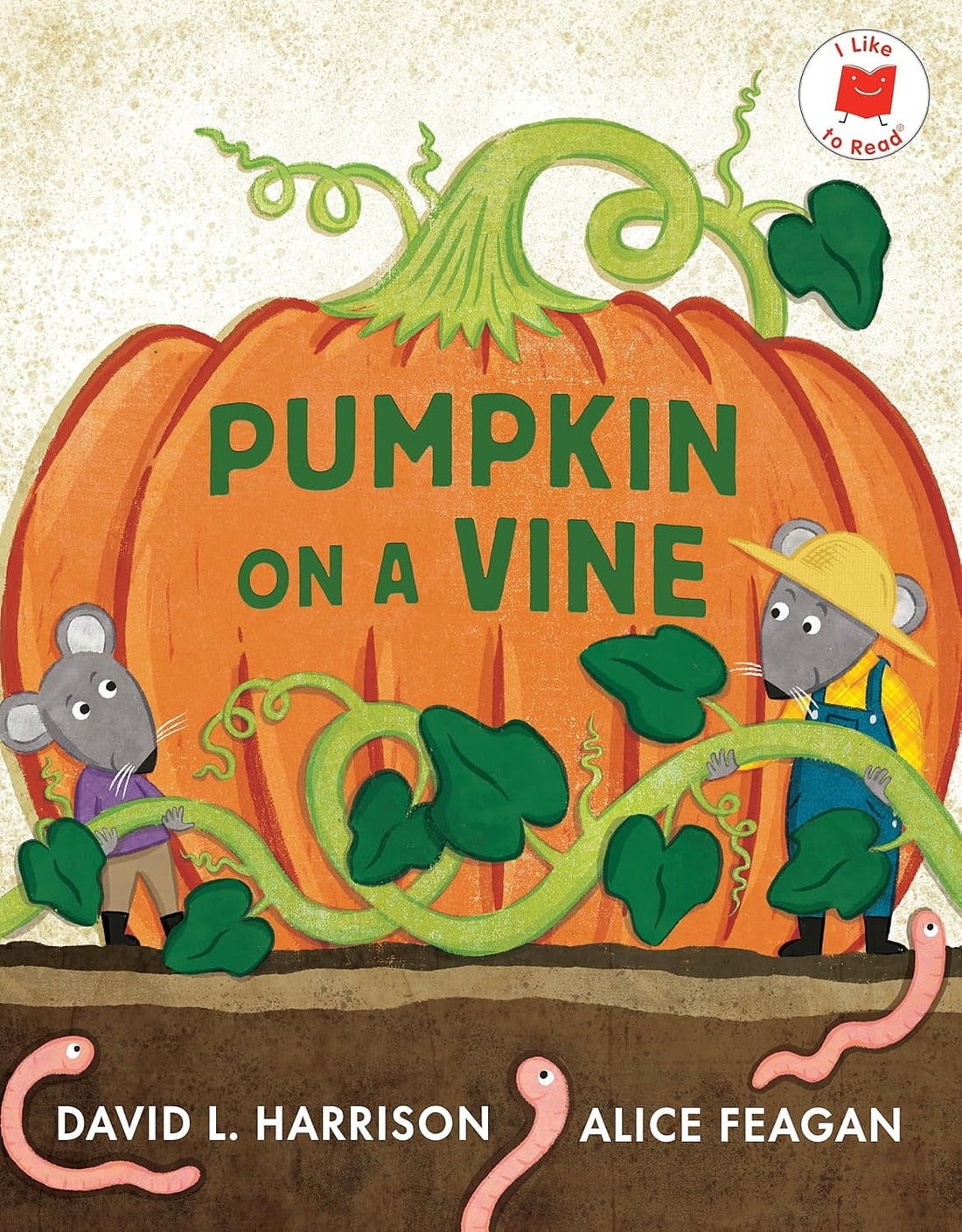 Pumpkin on a Vine