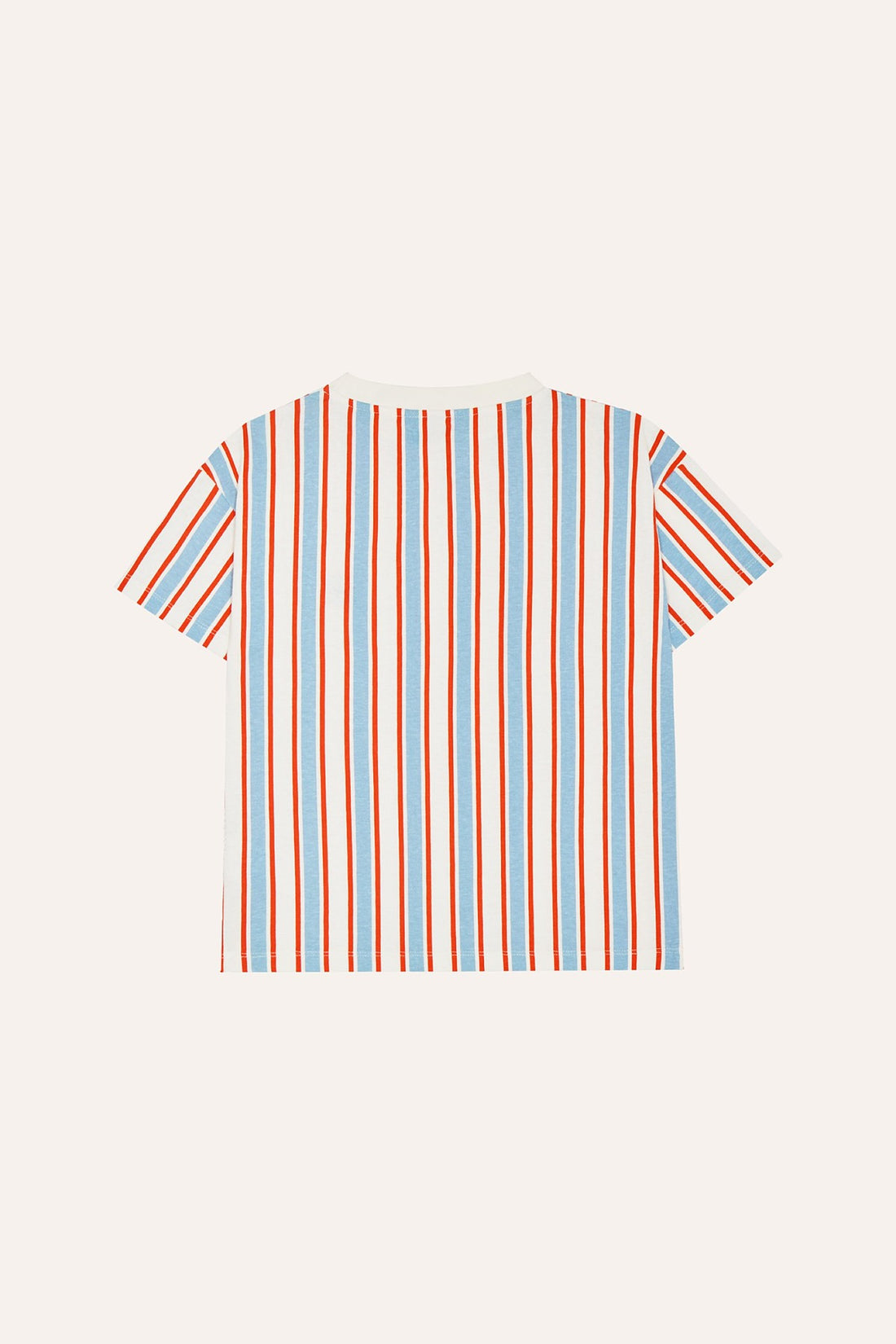 Bicolor Stripes T-Shirt