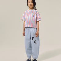 Bicolor Stripes T-Shirt