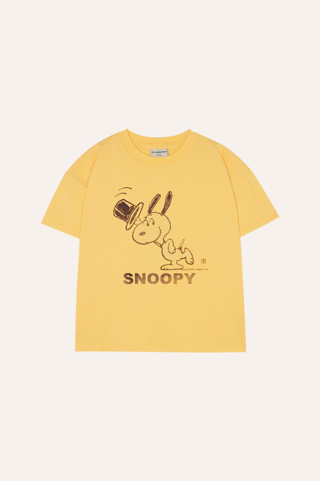 Snoopy and Charlie Oversized T Shirt - Parkette.