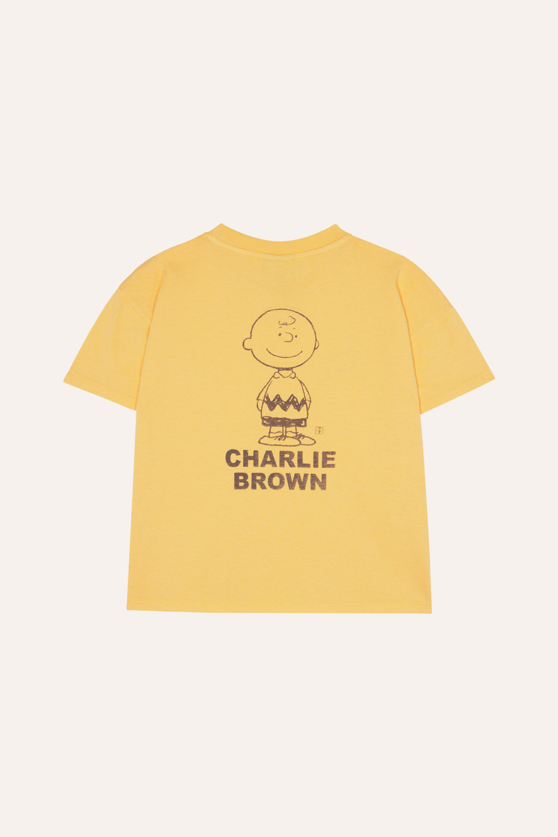 Snoopy and Charlie Oversized T Shirt - Parkette.