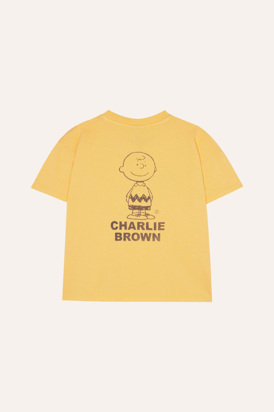 Snoopy and Charlie Oversized T Shirt - Parkette.