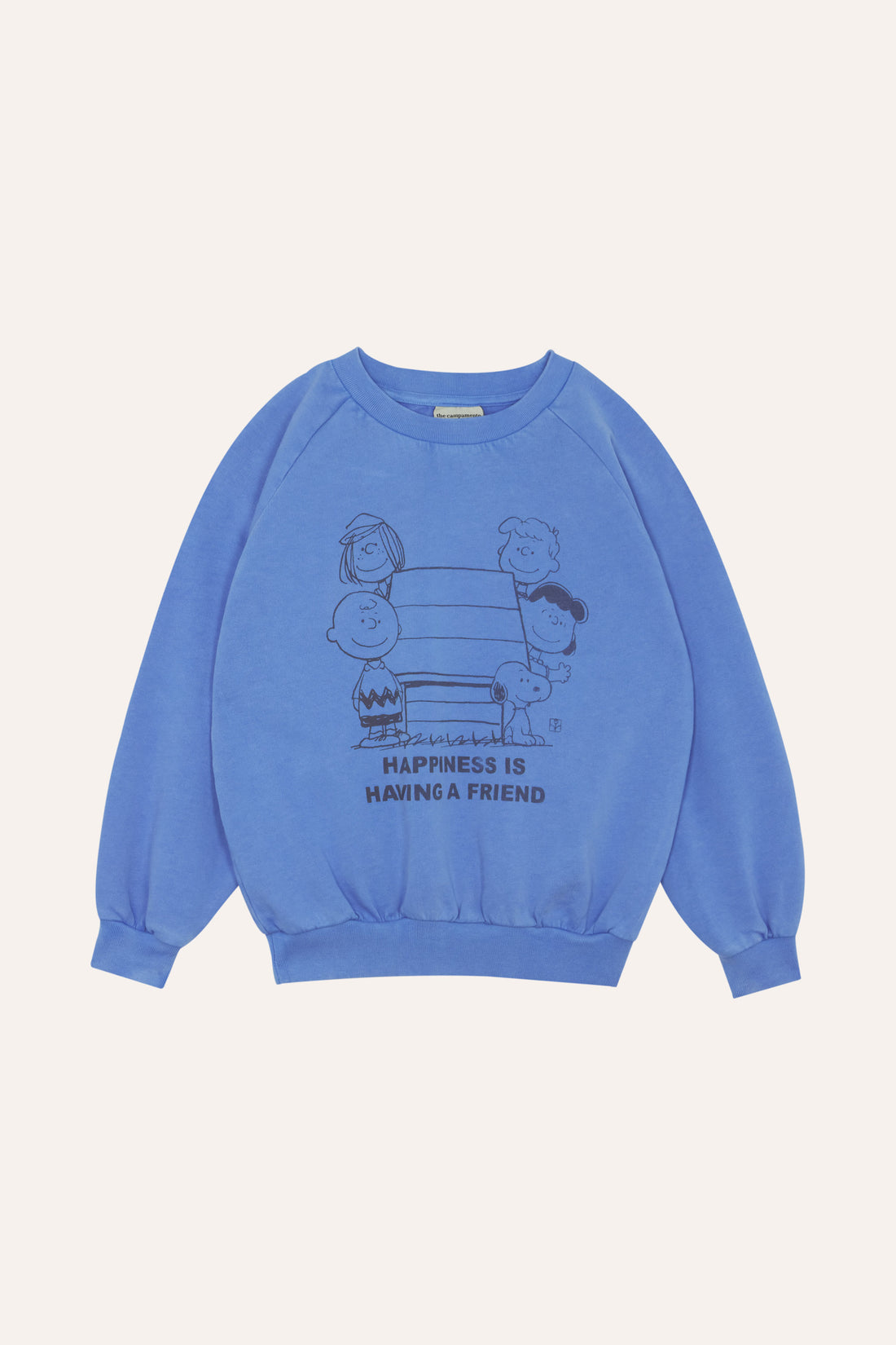 Peanuts Oversized Sweatshirt - Parkette.