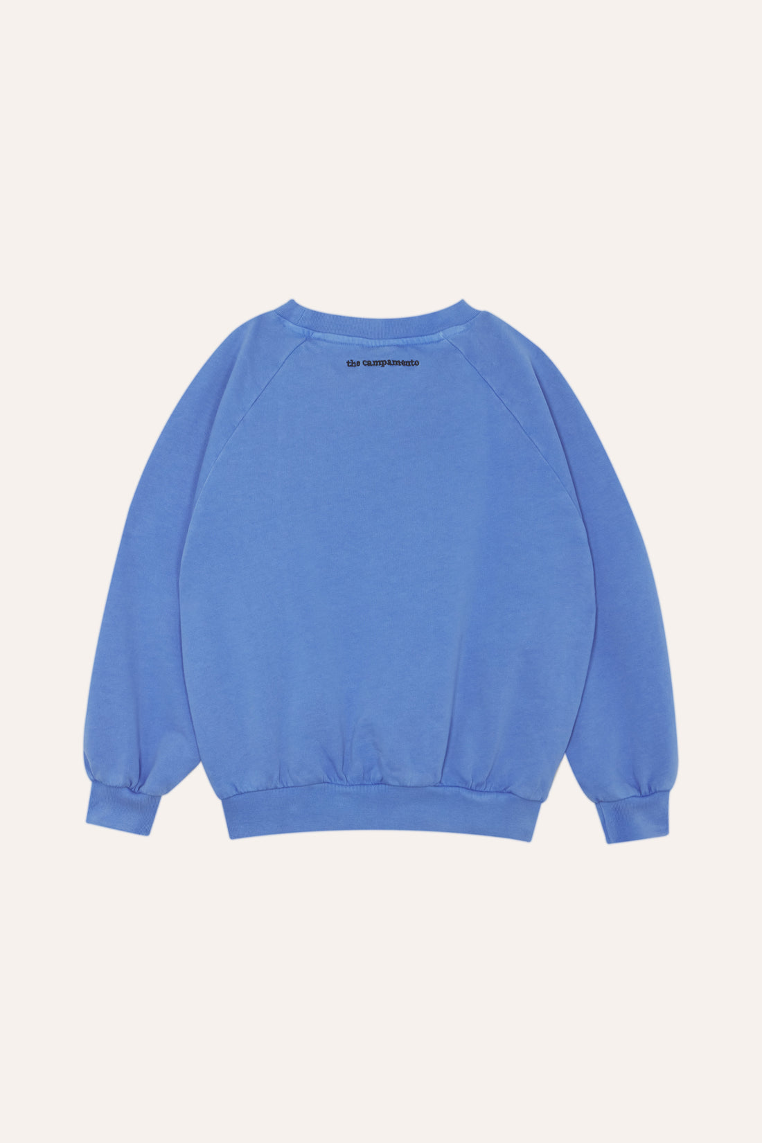 Peanuts Oversized Sweatshirt - Parkette.