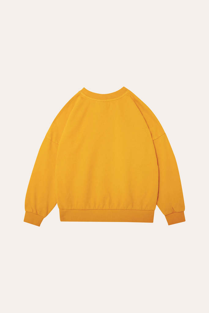 SNOOPY AND CHARLIE BROWN OVERSIZED SWEATSHIRT - Parkette.