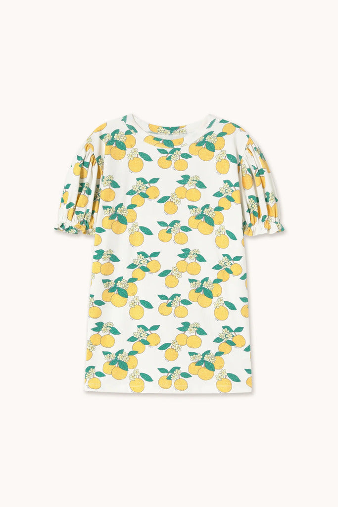 Oranges Puff Sleeve Dress