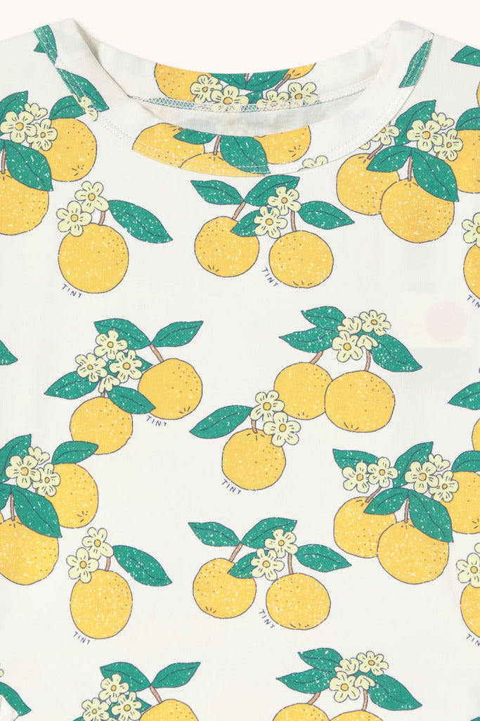 Oranges Puff Sleeve Dress