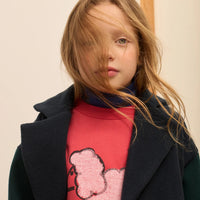 Pom Pom Dog Sweatshirt