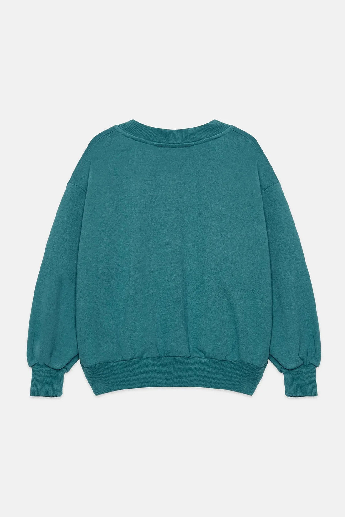 Pom Pom Dog Sweatshirt - Teal