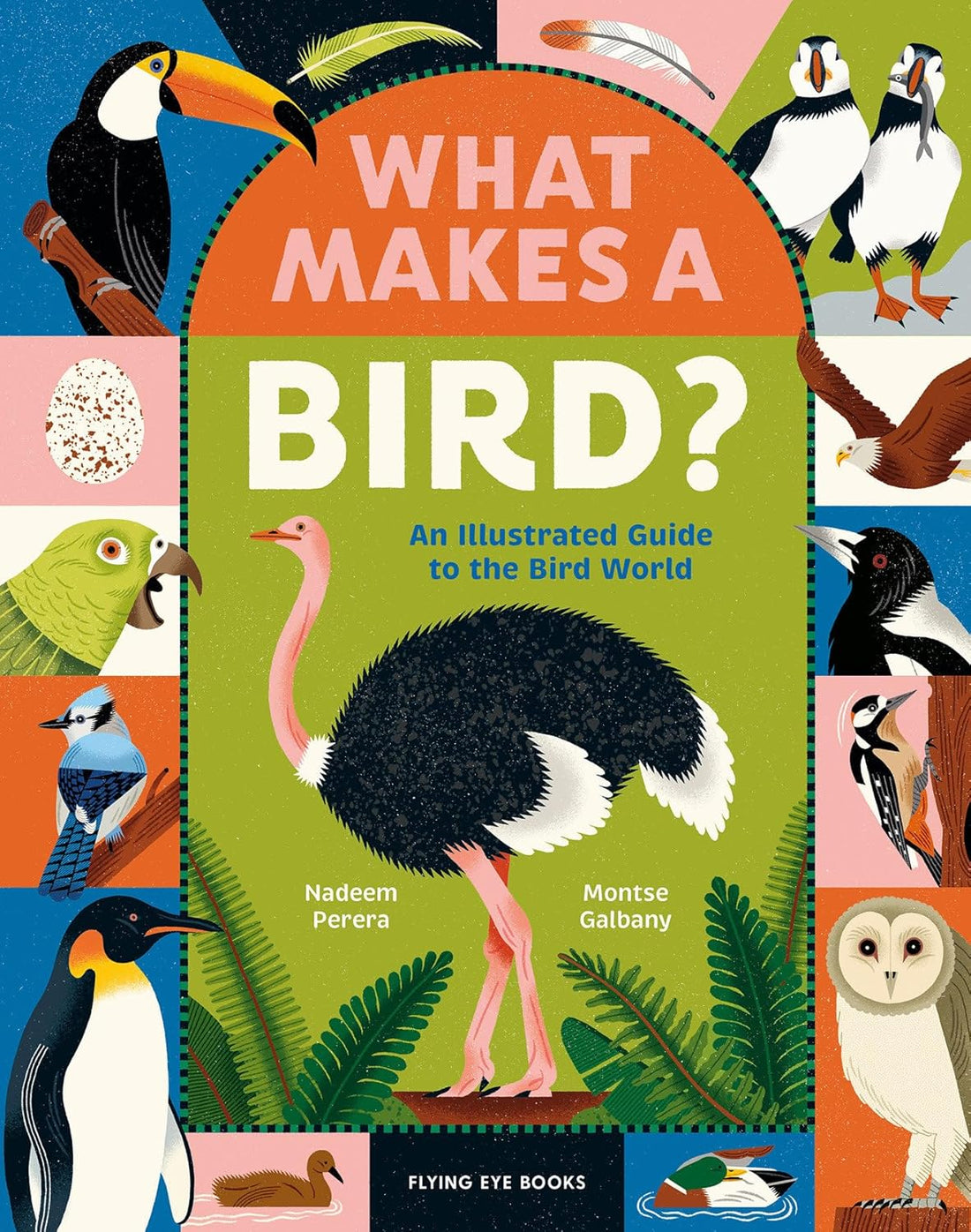What Makes a Bird? An Illustrated Guide to the Bird World