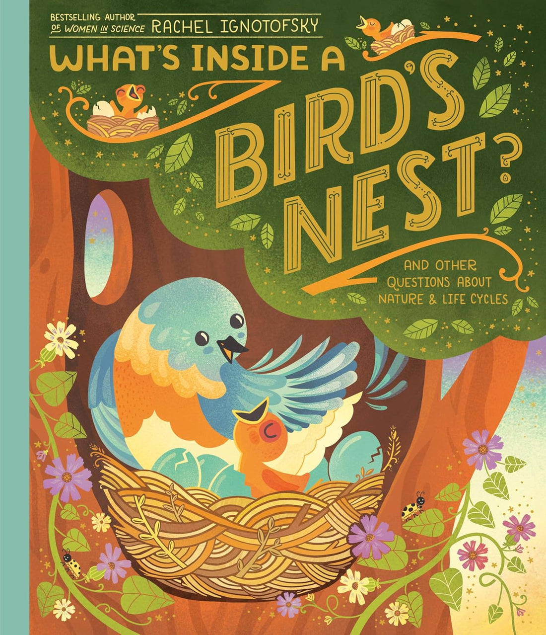 What's Inside A Bird's Nest? - Parkette.