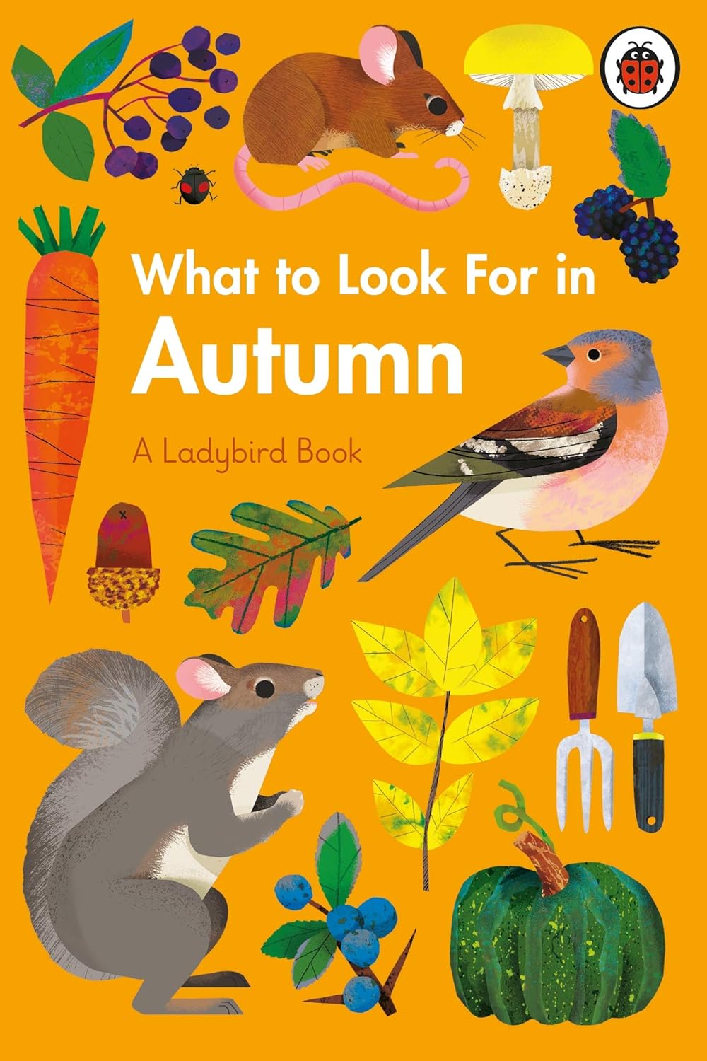 What to Look For in Autumn - Parkette.