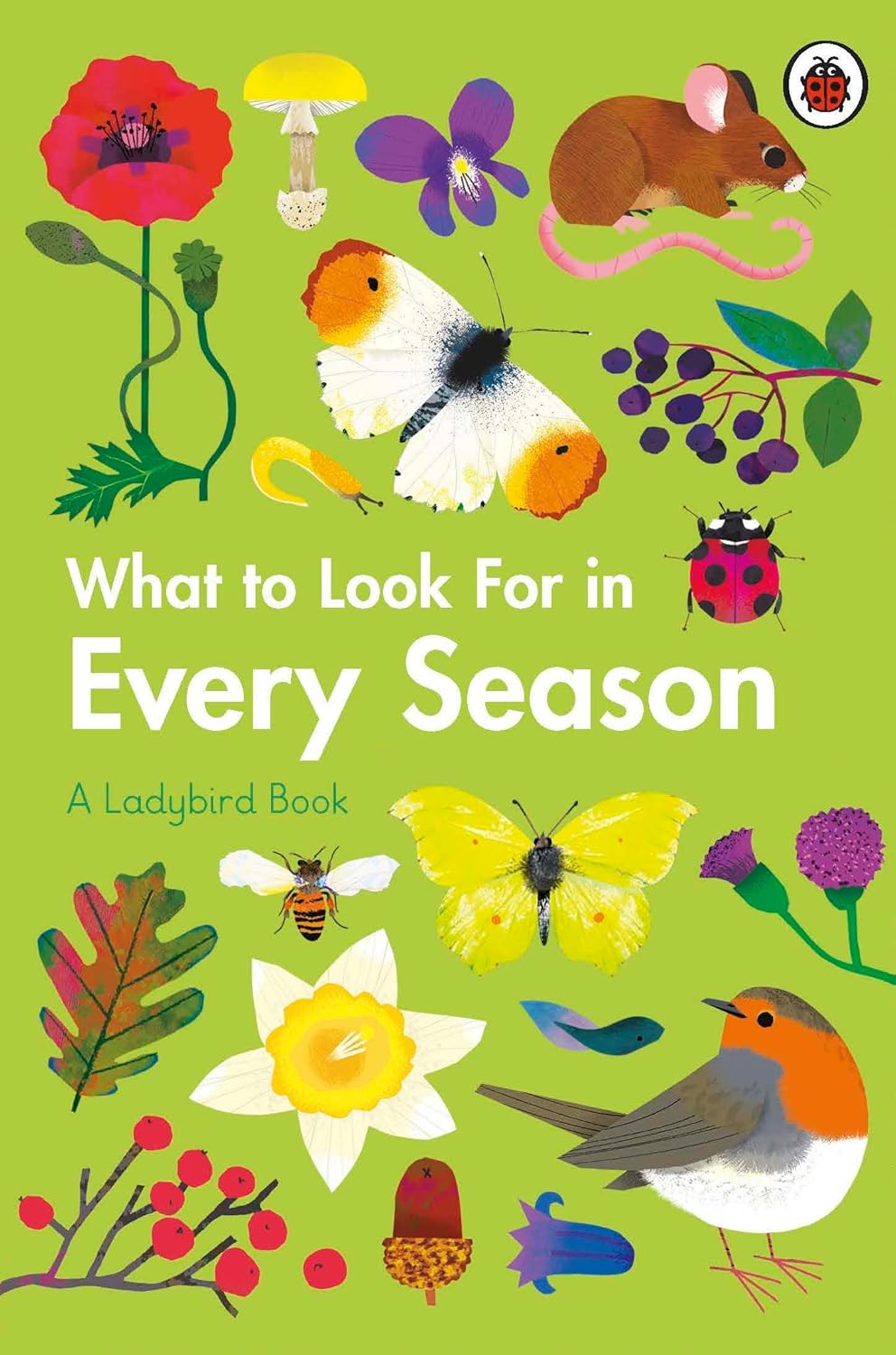 What to Look For in Every Season: A Ladybird Book Boxset - Parkette.