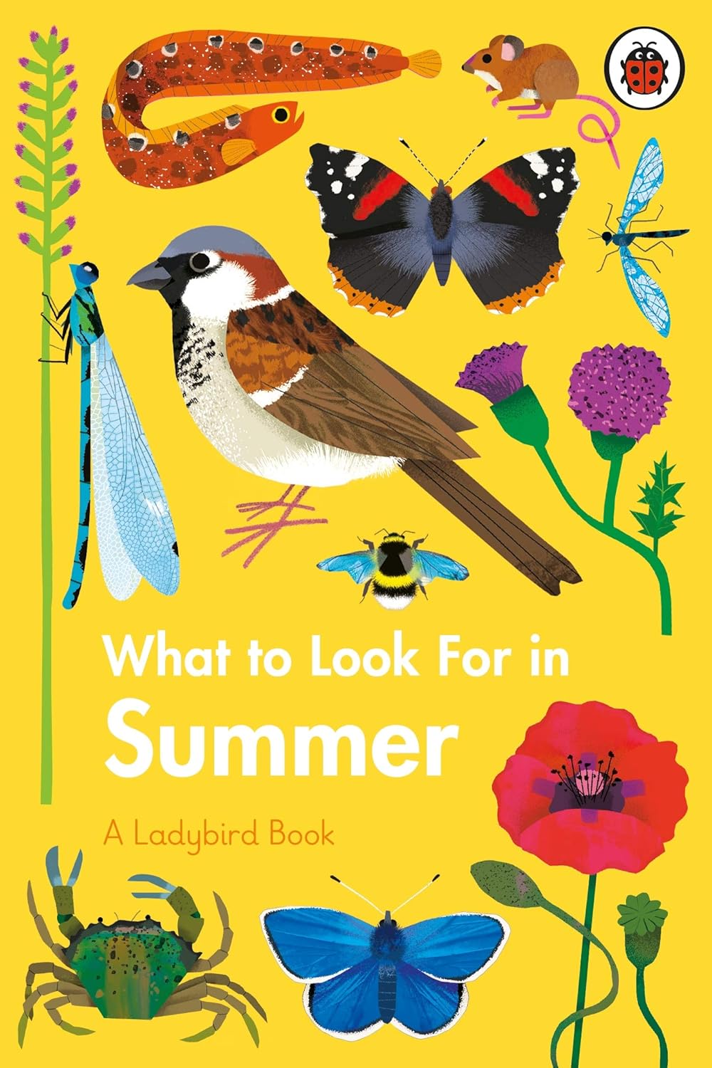 What to Look For in Summer - Parkette.