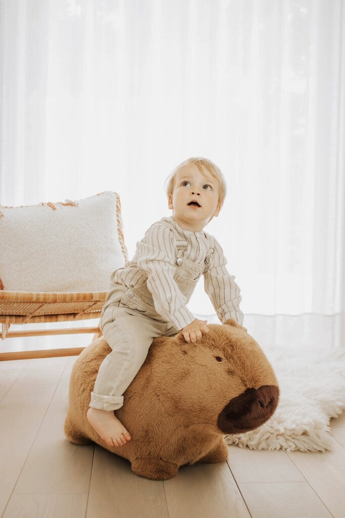 Soft Bouncy Capybara - Parkette.