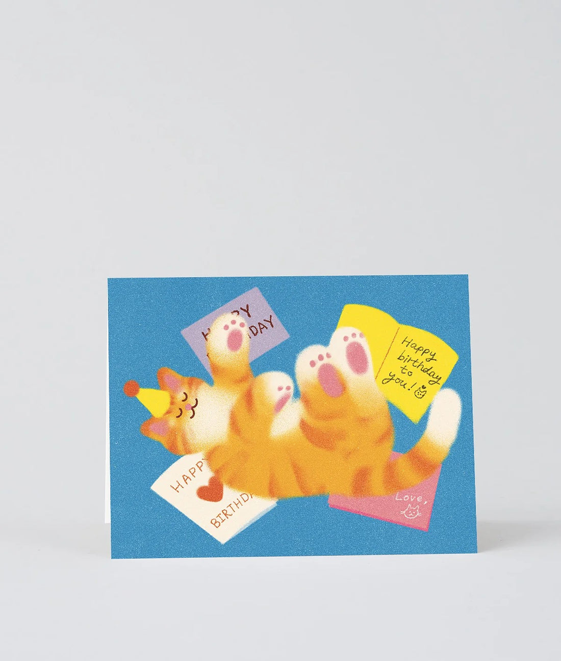 Happy Birthday Cat Letters Greeting Card