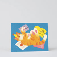 Happy Birthday Cat Letters Greeting Card