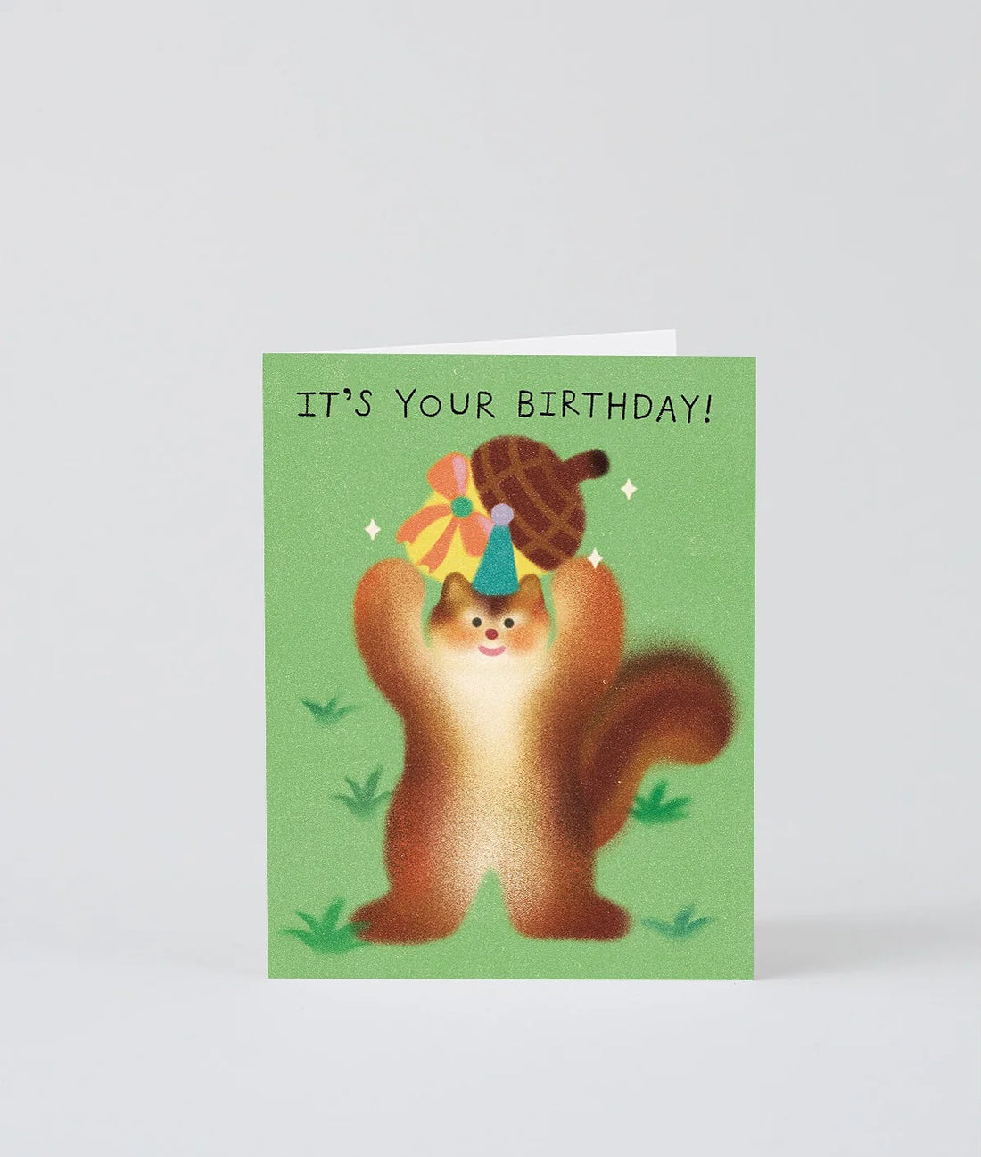 It's Your Birthday Squirrel Greeting Card