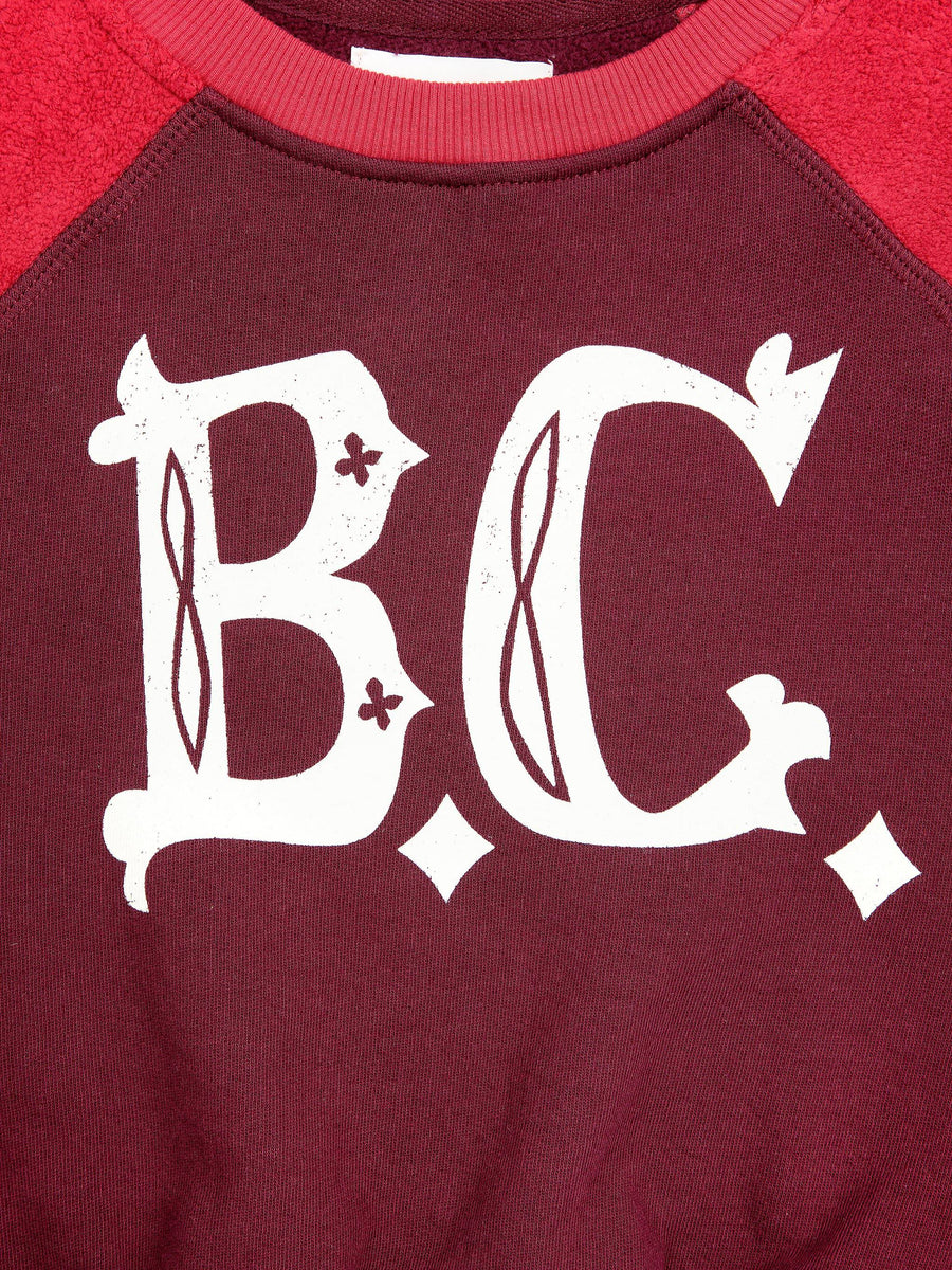 B.C. Vintage Ranglan Sleeve Sweatshirt - Parkette.