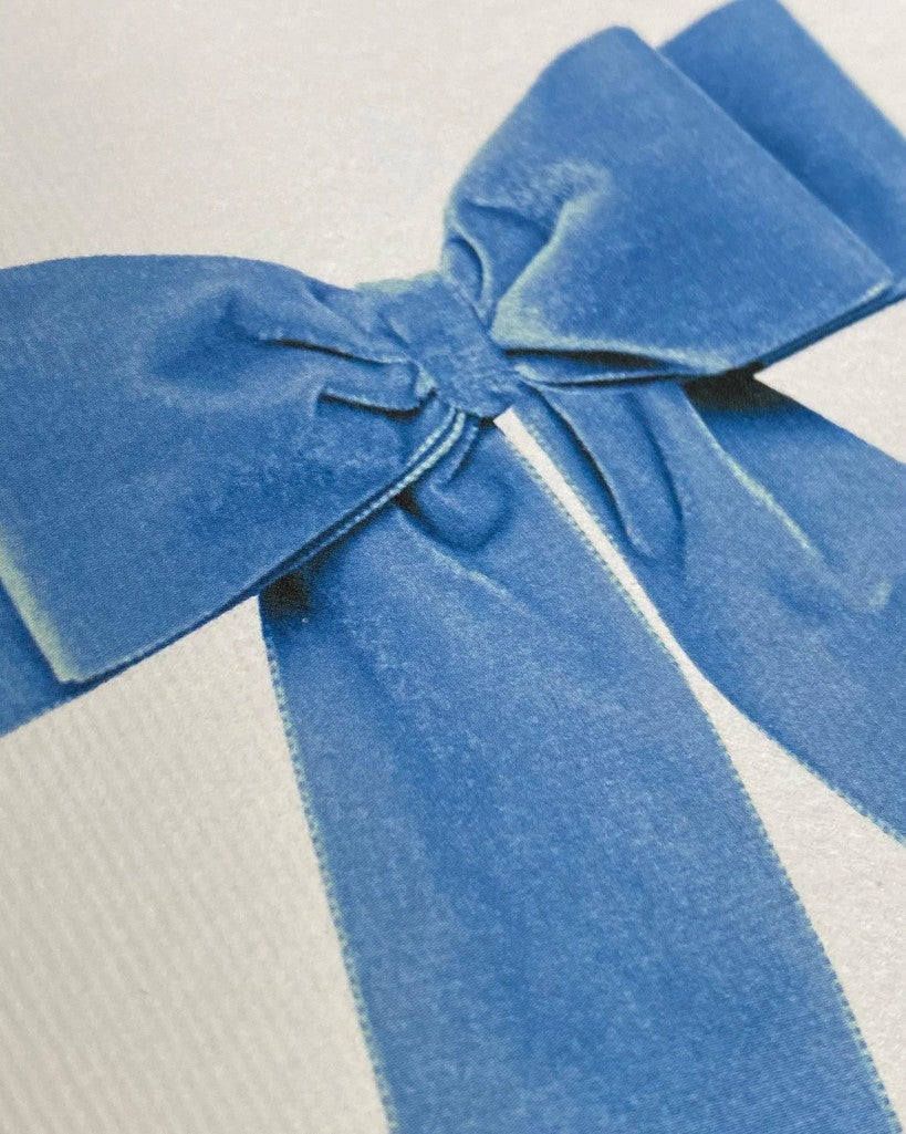 Baby Blue Velvet Bow Greeting Card - Parkette.