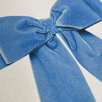 Baby Blue Velvet Bow Greeting Card - Parkette.