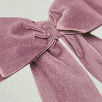 Baby Pink Velvet Bow Greeting Card - Parkette.