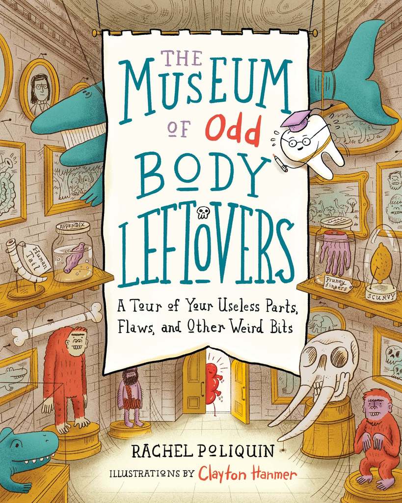 The Museum of Odd Body Leftovers - Parkette.