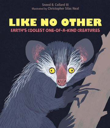 Like No Other: Earth’s Coolest One-of-a-Kind Creatures - Parkette.