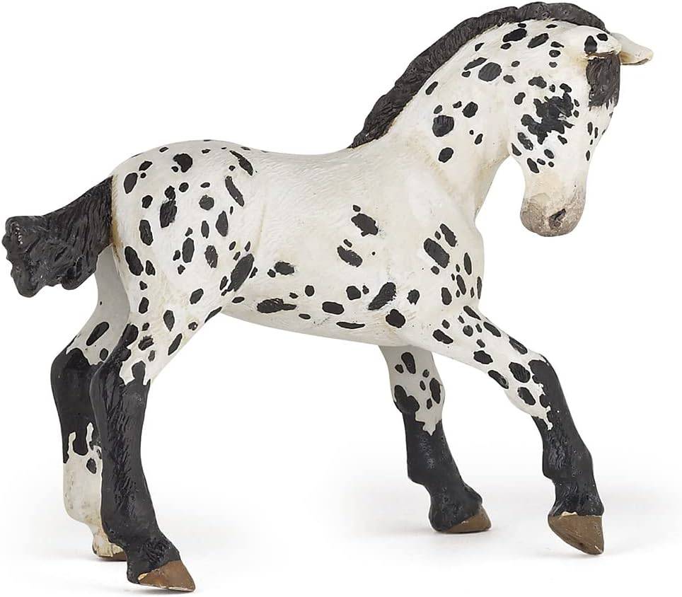 Black Appaloosa Foal - Parkette.
