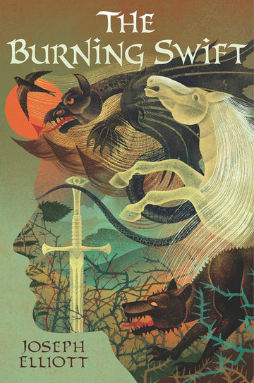 The Burning Swift (Shadow Skye Trilogy Book 3) - Parkette.