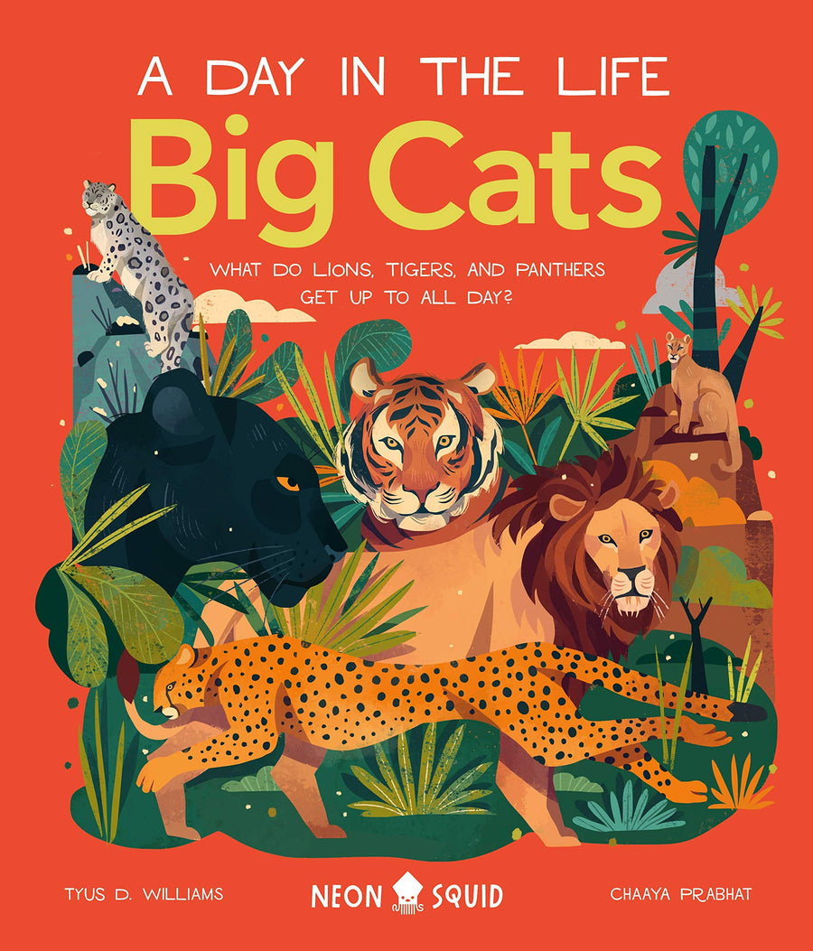 A Day in the Life: Big Cats - Parkette.