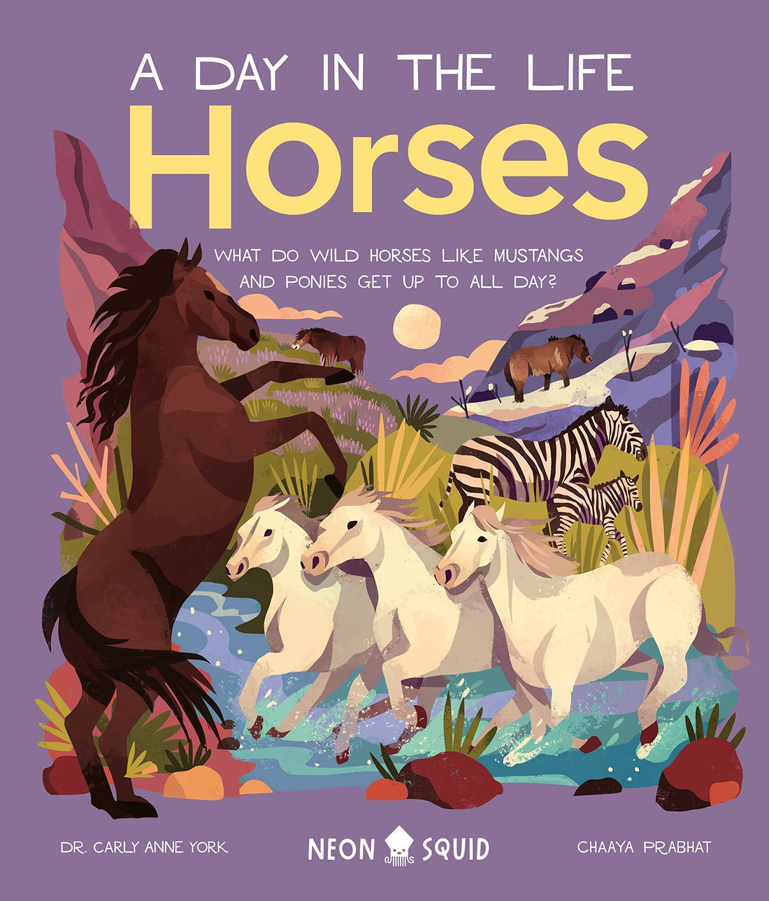 A Day in the Life: Horses - Parkette.