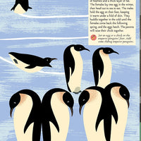 Birds of the World: My Nature Sticker Activity Book - Parkette.