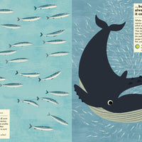 In The Ocean: My Nature Sticker Activity Book - Parkette.