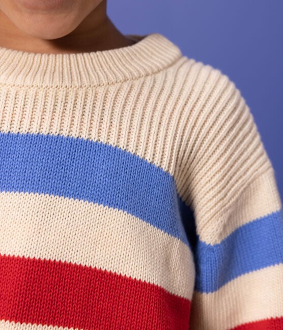 Stripy Cotton Pullover - Parkette.