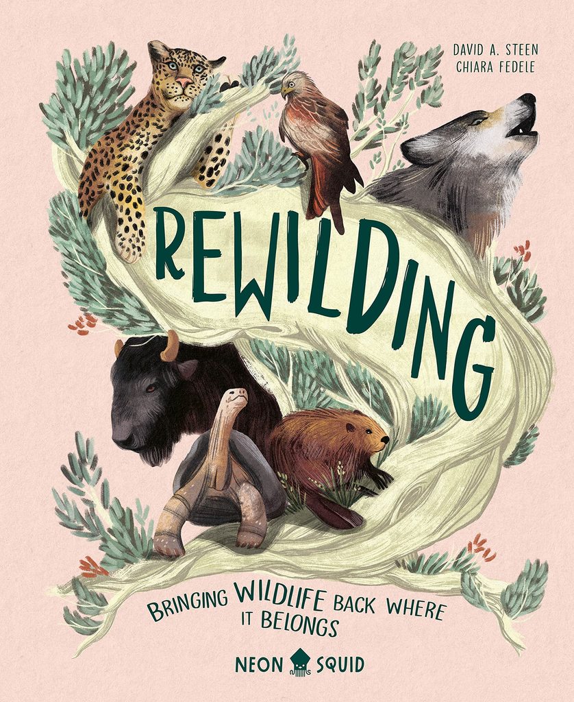 Rewilding - Parkette.