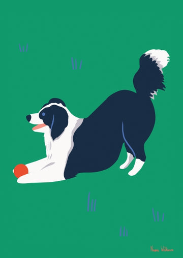 Border Collie Print - Parkette.