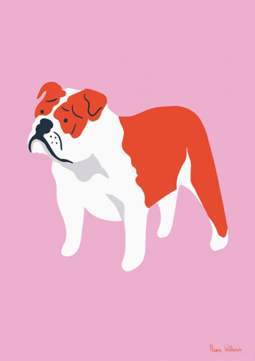 Bulldog Print - Parkette.